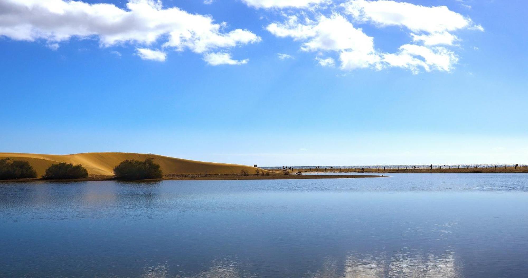 מספאלומס Dunaoasis Maspalomas מראה חיצוני תמונה